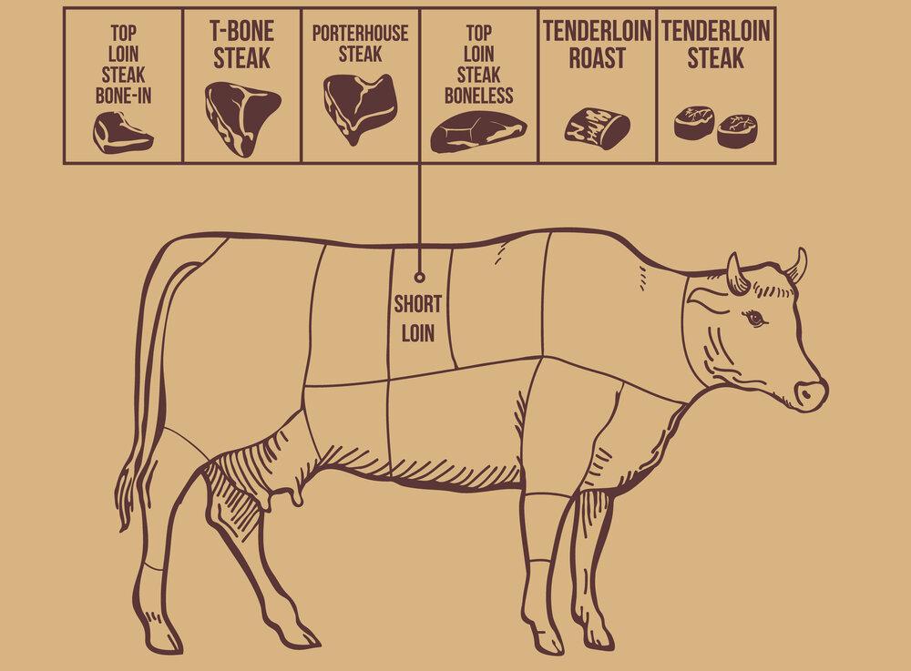 100% Grass Fed Filet Mignon - Heartstone Farm