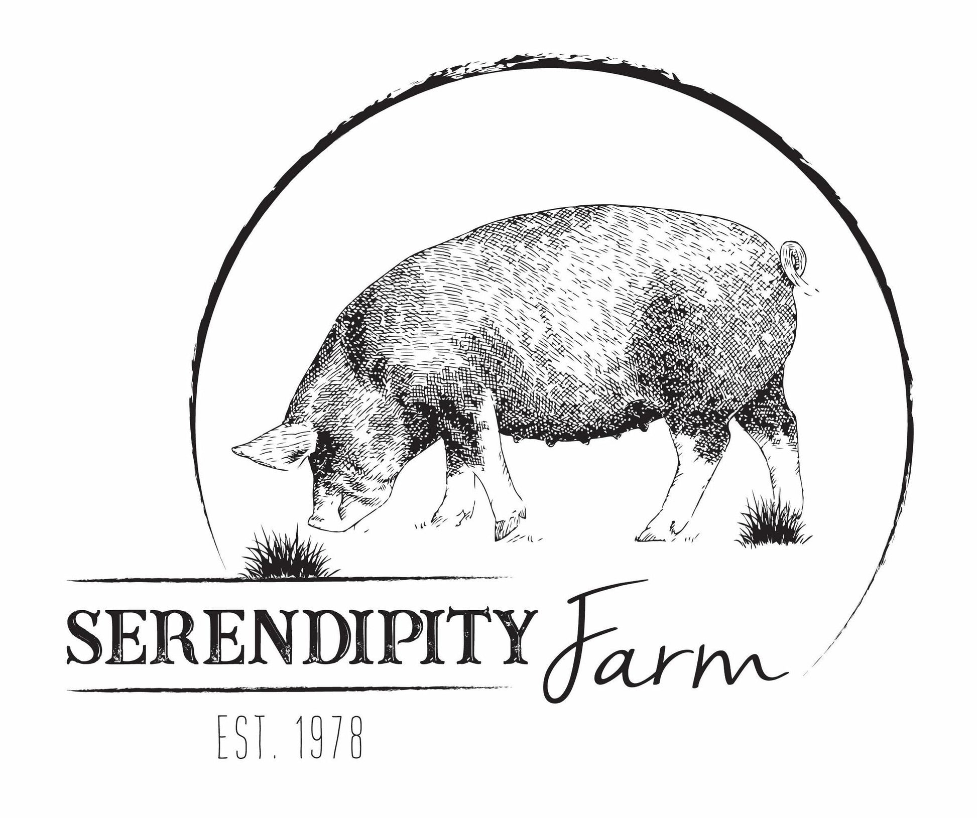 Maine Pasture-Raised Ground Pork - Heartstone Farm
