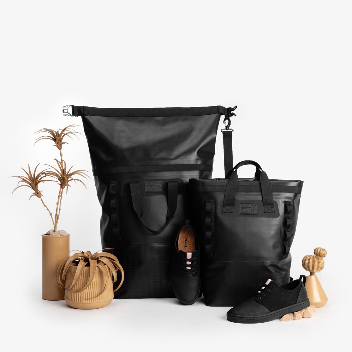 the so ill x on the roam black wolf collection is shown amongst desert plants