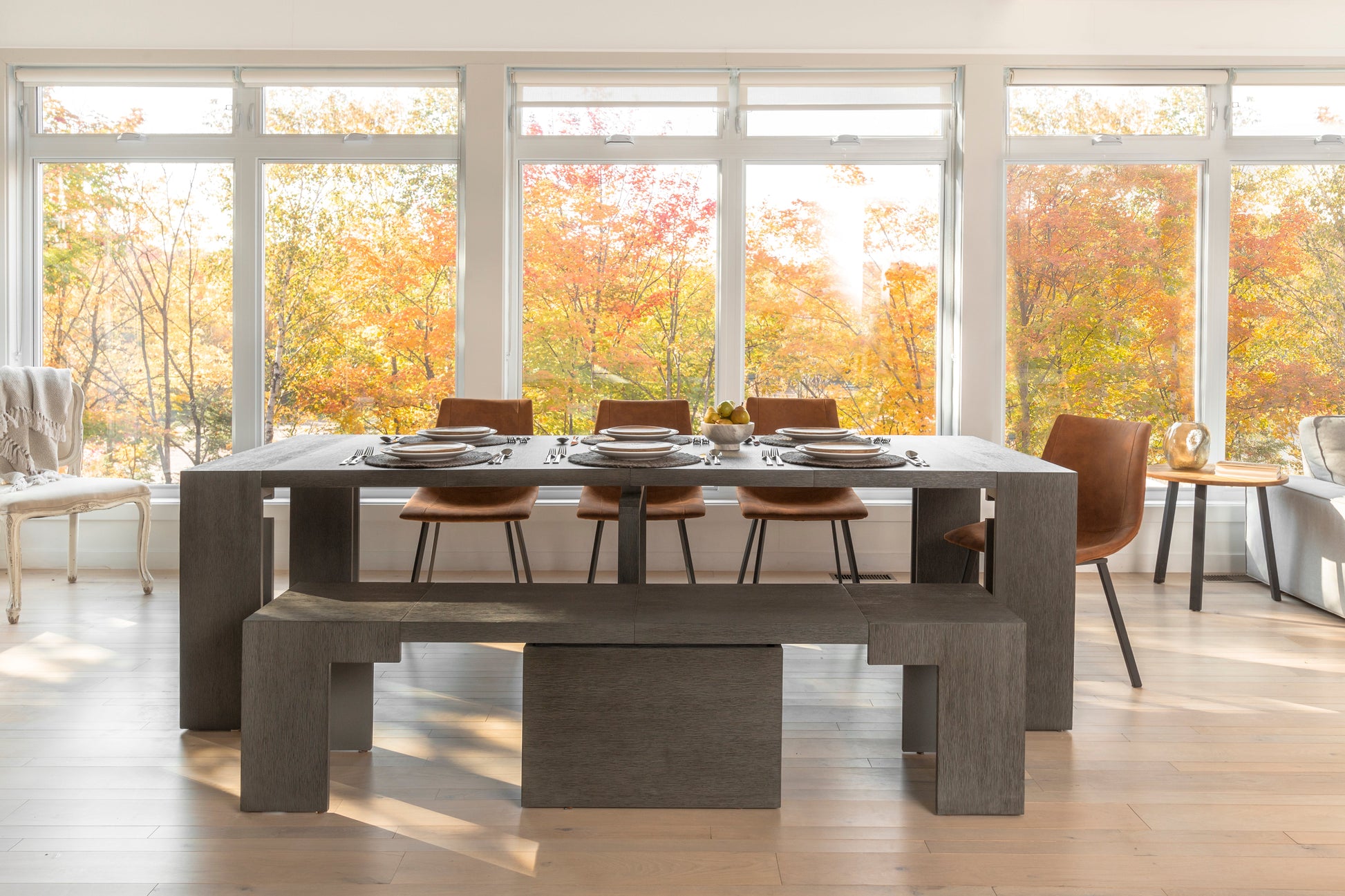 Siberian Birch::Lifestyle::Siberian Birch New Photos 1